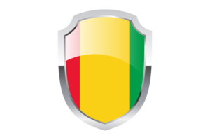 Guinea Shield Logo flag