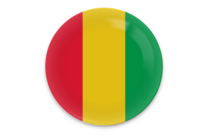 Guinea Flag Vector Art flag
