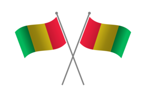 Guinea Friendship Flag flag