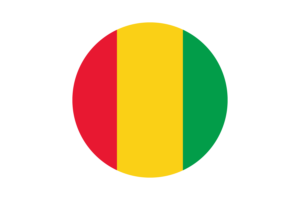 Guinea Flag Circle Vector Free flag