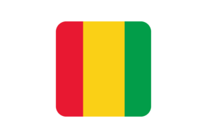 Guinea Flag Square Rounded Shape flag