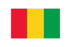 Guinea Flag Triangle Vector Illustration flag