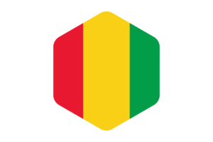 Guinea Flag Rounded Hexagon Shape flag