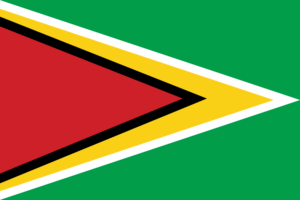 Flag of Guyana flag