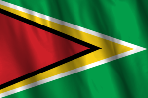 National Flag of Guyana flag