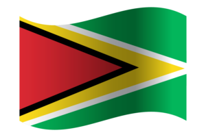 Republic of Guyana Flag flag