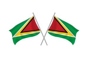 Guyana Waving Friendship Flag flag