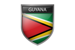 Guyana Flag flag