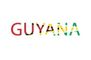 Guyana Text Art flag