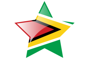 Guyana Flag Star Icon flag