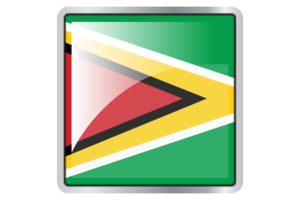 Guyana Flag Square icon flag