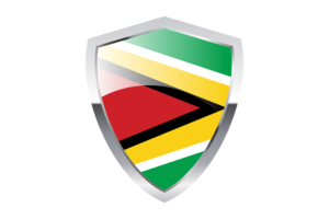 Guyana Flag with Pointed Triangular Shield flag