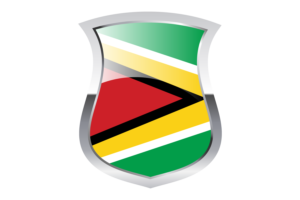 Guyana Pride Flag flag