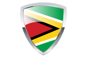 Guyana Shield Flag flag