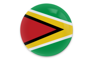 Guyana Flag Vector Art flag