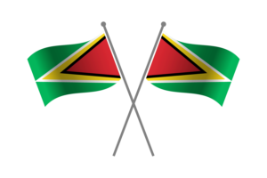 Guyana Friendship Flag flag