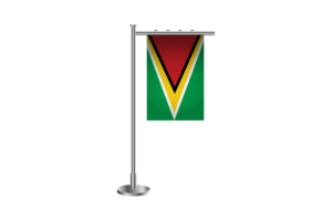 3d Guyana Standing Flag flag