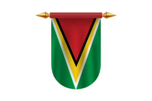 Guyana Flag Emblem Vector Images flag