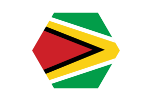 Guyana Flag Vector Free | SVG and PNG flag
