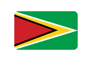 Guyana Flag Triangle Rounded Shape flag