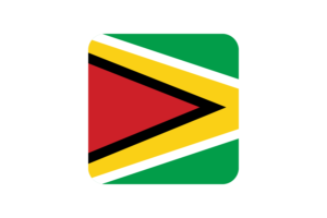Guyana Flag Square Rounded Shape flag