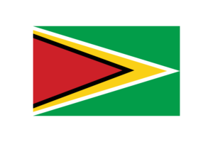 Guyana Flag Triangle Vector Illustration flag