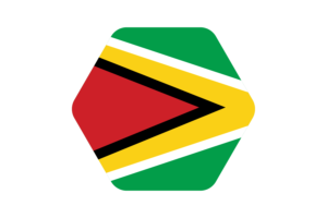 Guyana Flag Vector Illustration flag
