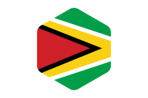 Guyana Flag Rounded Hexagon Shape flag