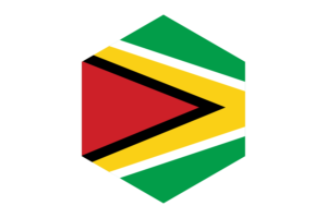 Guyana Flag Hexagon Shape flag