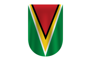 Guyana Flag Vector Free Dowanlod (SVG,PNG) flag