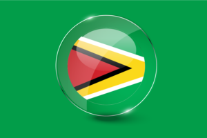 Guyana Flag Glossy Round Button flag