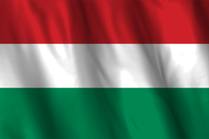 National Flag of Hungary flag