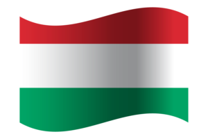Republic of Hungary Flag flag