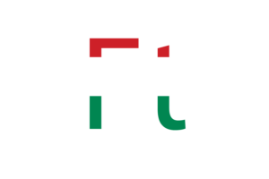 Hungary Currency icon flag