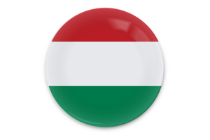 Hungary Flag Vector Art flag