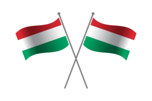 Hungary Friendship Flag flag