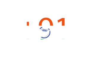 India Calling Code flag