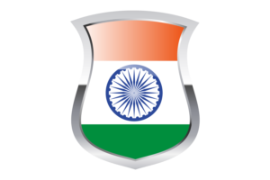 India Pride Flag flag