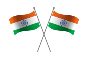 India Friendship Flag flag