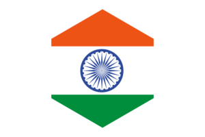 India Flag Hexagon Shape flag