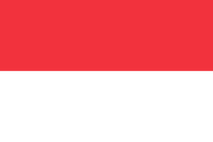 Flag of Indonesia flag