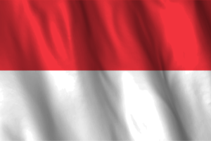 National Flag of Indonesia flag