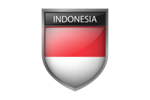 Indonesia Flag flag