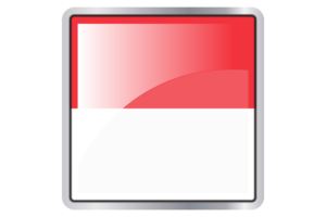 Indonesia Flag Square icon flag