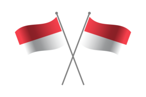 Indonesia Friendship Flag flag