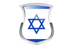 Israel Pride Flag flag