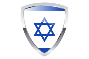 Israel Shield Flag flag