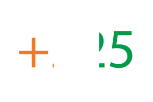 Ivory Coast Calling Code flag