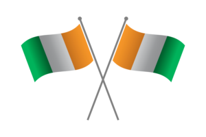 Ivory Coast Friendship Flag flag