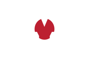 Japan Currency icon flag